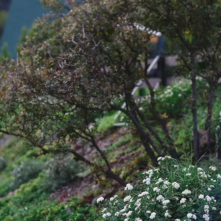 캠프장 Private Glamping For Family Getaway With Bbq