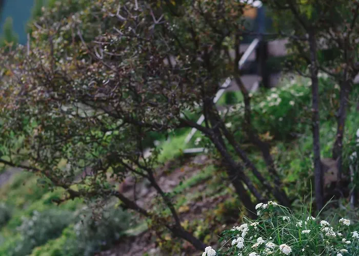 Kemp Private Glamping For Family Getaway With Bbq