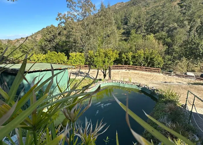 Kemp Private Glamping For Family Getaway With Bbq Arakapas